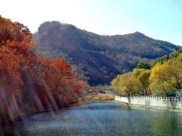 澳门天天免费精准大全，泛站群程序